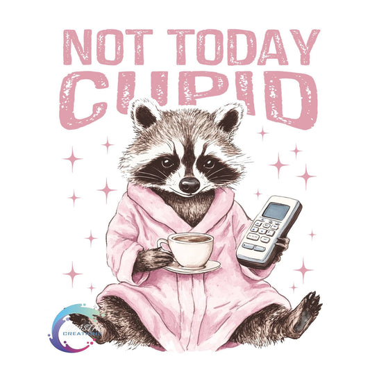 Not Today Cupid Raccoon DTF